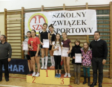 Powiatowe zawody w drużynowego tenisa stołowego dziewcząt 04.12.2012 -Limanowa