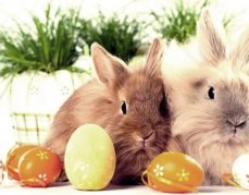 Życzenia od Dyrektora Szkoły