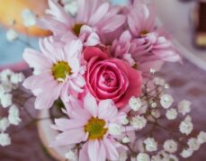 Drodzy Rodzice, Nauczyciele, Uczniowie, Pracownicy Szkoły!