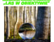 Ogólnopolski konkurs  fotograficzny „Las w obiektywie”.