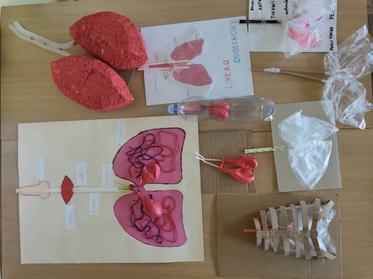 Projekt ,,Makieta Układu Oddechowego”