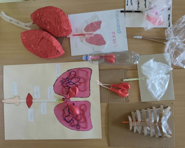 Projekt ,,Makieta Układu Oddechowego”