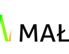 Kodowanie- realizacja projektu w grupie Biedronek